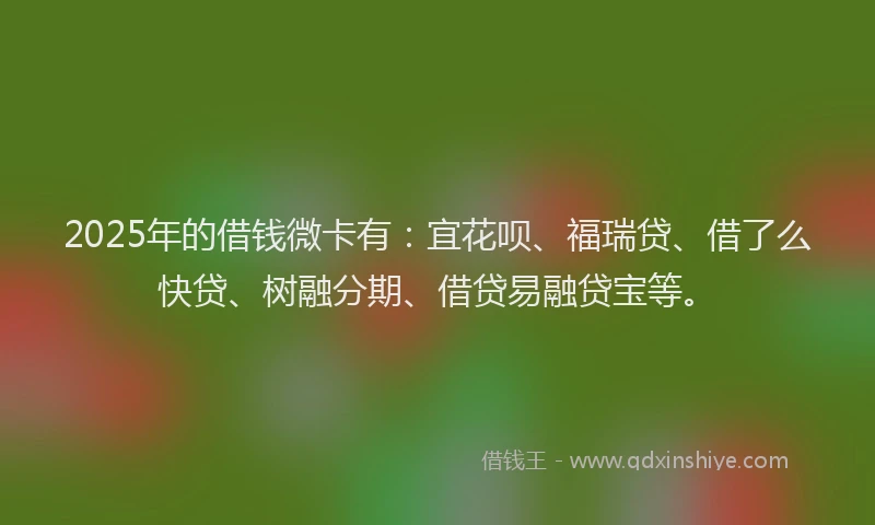 2025年的借钱微卡有：宜花呗、福瑞贷、借了么快贷、树融分期、借贷易融贷宝等。
