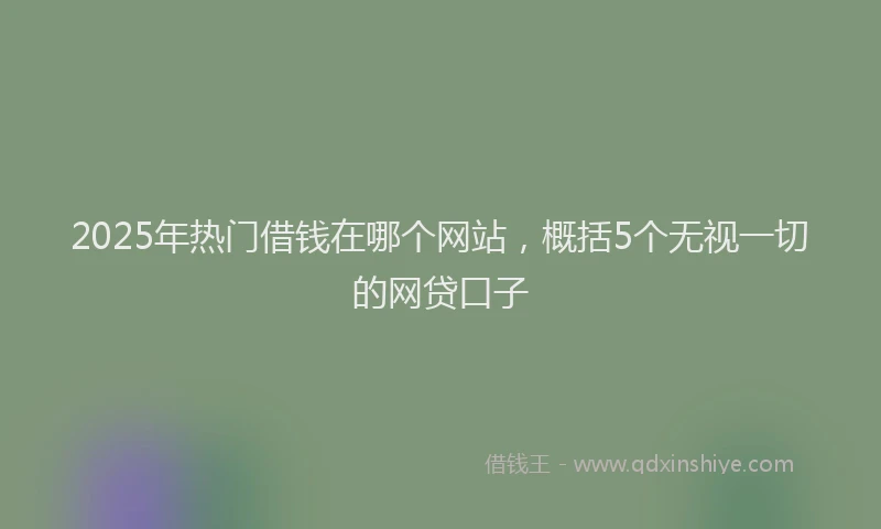 2025年热门借钱在哪个网站，概括5个无视一切的网贷口子