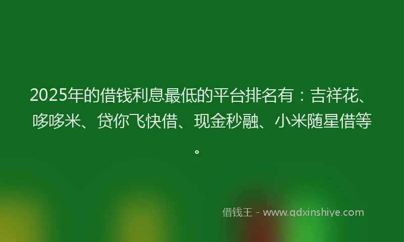 2025年的借钱利息最低的平台排名有：吉祥花、哆哆米、贷你飞快借、现金秒融、小米随星借等。