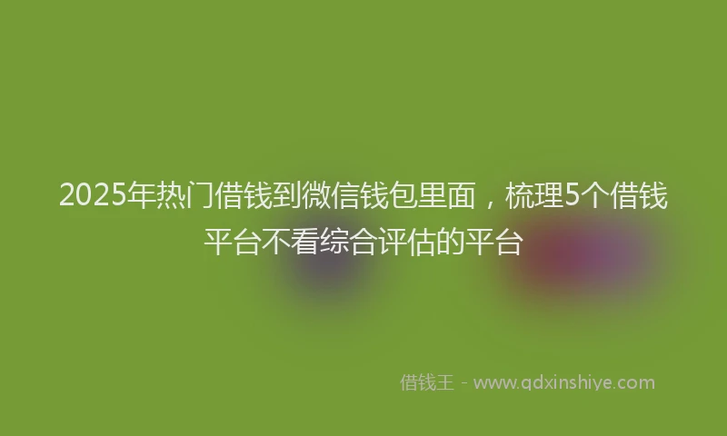 2025年热门借钱到微信钱包里面，梳理5个借钱平台不看综合评估的平台