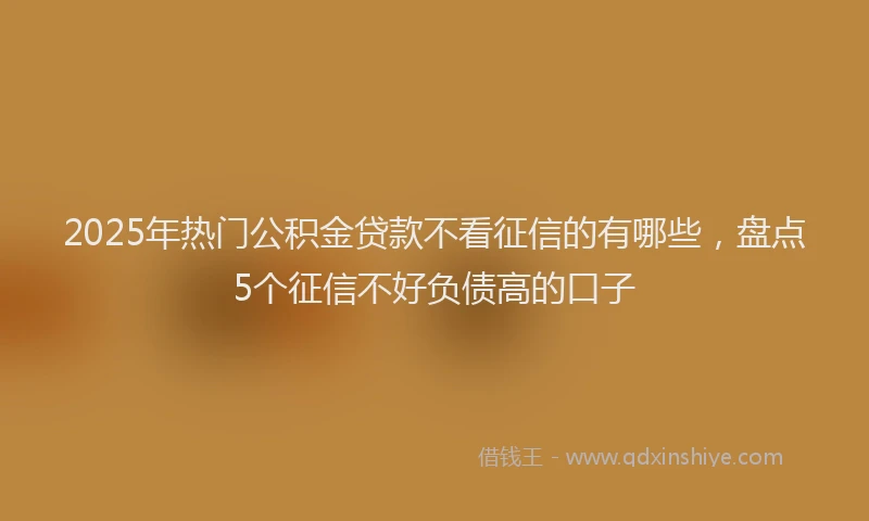 2025年热门公积金贷款不看征信的有哪些，盘点5个征信不好负债高的口子