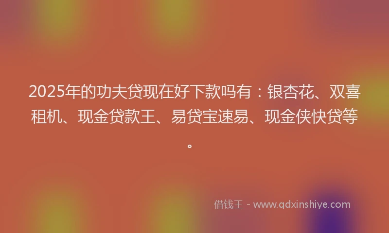 2025年的功夫贷现在好下款吗有：银杏花、双喜租机、现金贷款王、易贷宝速易、现金侠快贷等。