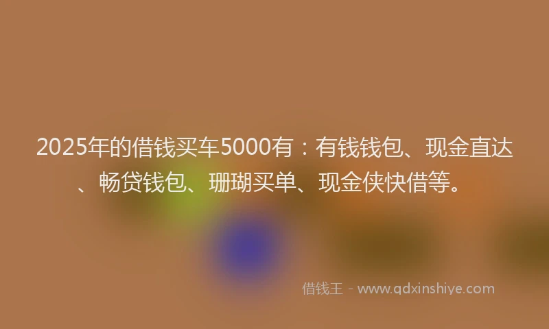 2025年的借钱买车5000有：有钱钱包、现金直达、畅贷钱包、珊瑚买单、现金侠快借等。