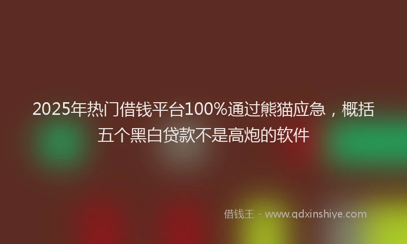 2025年热门借钱平台100%通过熊猫应急，概括五个黑白贷款不是高炮的软件
