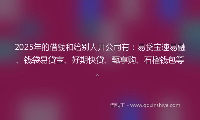2025年的借钱和给别人开公司有：易贷宝速易融、钱袋易贷宝、好期快贷、甄享购、石榴钱包等。