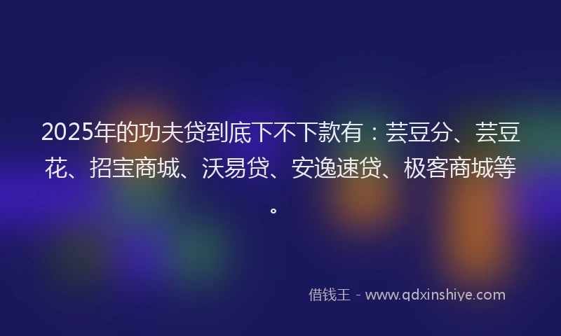 2025年的功夫贷到底下不下款有：芸豆分、芸豆花、招宝商城、沃易贷、安逸速贷、极客商城等。