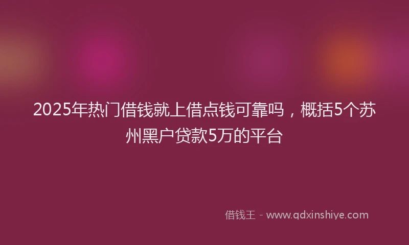 2025年热门借钱就上借点钱可靠吗，概括5个苏州黑户贷款5万的平台