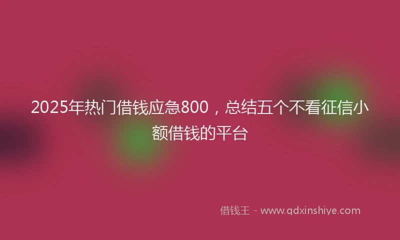 2025年热门借钱应急800，总结五个不看征信小额借钱的平台