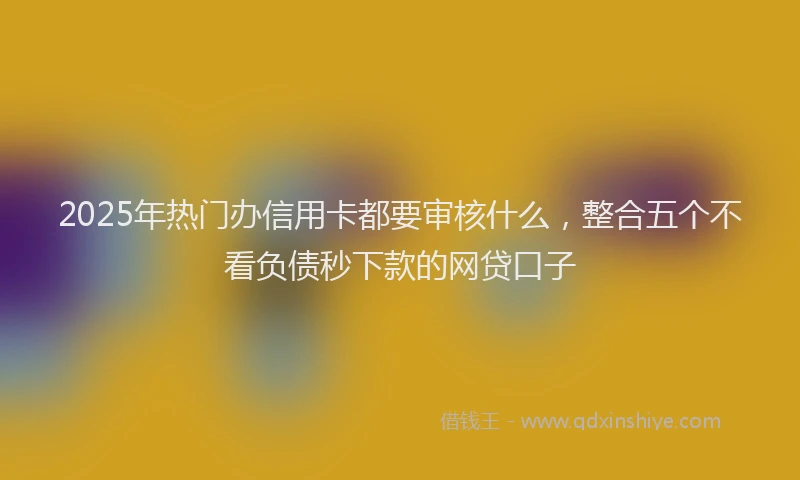 2025年热门办信用卡都要审核什么，整合五个不看负债秒下款的网贷口子