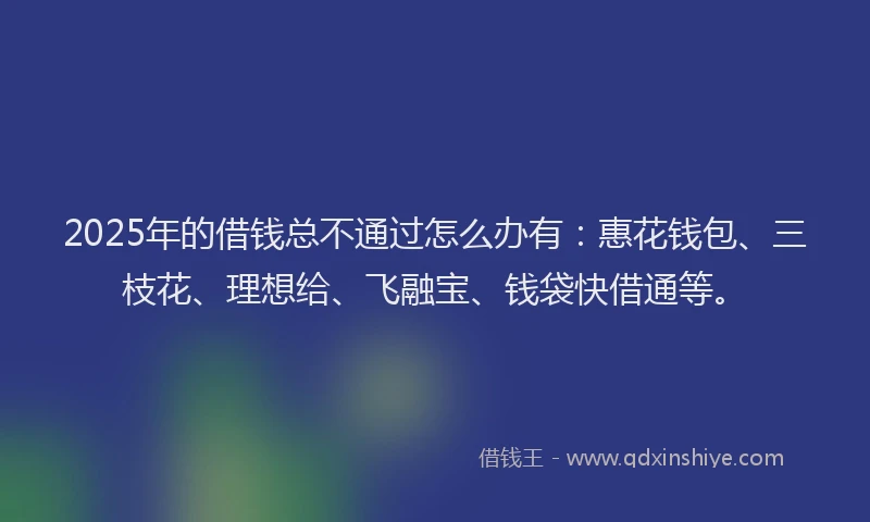 2025年的借钱总不通过怎么办有：惠花钱包、三枝花、理想给、飞融宝、钱袋快借通等。