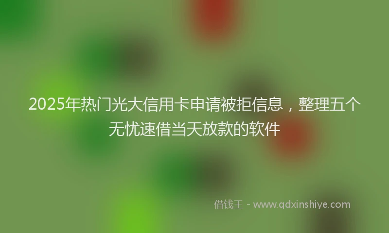 2025年热门光大信用卡申请被拒信息，整理五个无忧速借当天放款的软件
