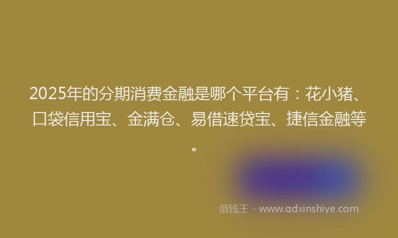 2025年的分期消费金融是哪个平台有：花小猪、口袋信用宝、金满仓、易借速贷宝、捷信金融等。