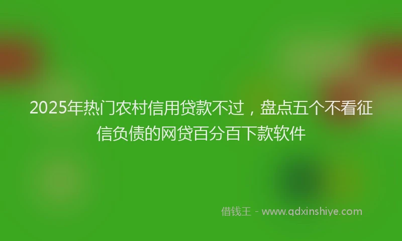 2025年热门农村信用贷款不过，盘点五个不看征信负债的网贷百分百下款软件