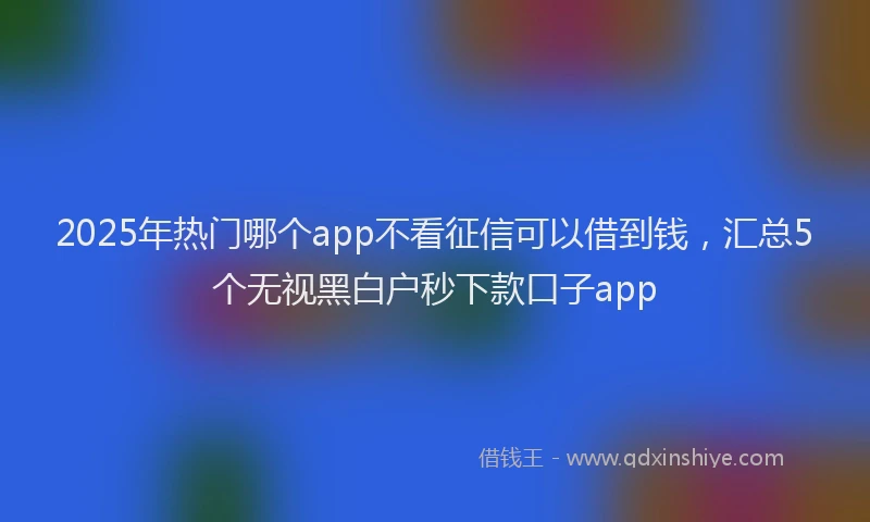 2025年热门哪个app不看征信可以借到钱，汇总5个无视黑白户秒下款口子app