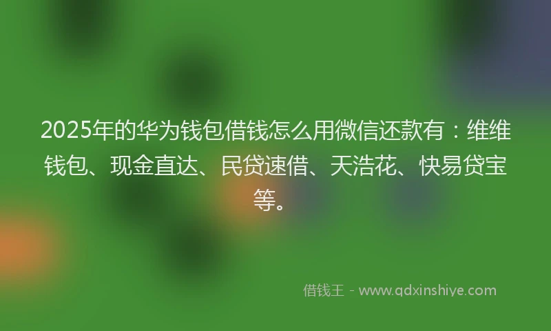 2025年的华为钱包借钱怎么用微信还款有：维维钱包、现金直达、民贷速借、天浩花、快易贷宝等。