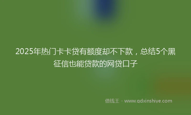 2025年热门卡卡贷有额度却不下款，总结5个黑征信也能贷款的网贷口子