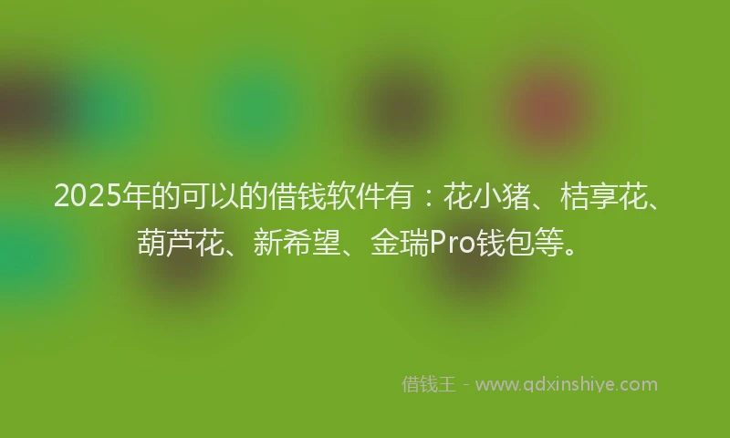 2025年的可以的借钱软件有：花小猪、桔享花、葫芦花、新希望、金瑞Pro钱包等。