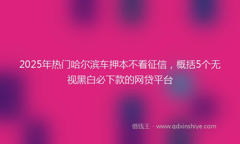 2025年热门哈尔滨车押本不看征信，概括5个无视黑白必下款的网贷平台