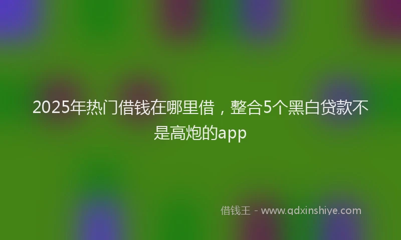 2025年热门借钱在哪里借，整合5个黑白贷款不是高炮的app