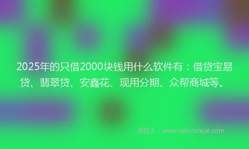 2025年的只借2000块钱用什么软件有：借贷宝易贷、翡翠贷、安鑫花、现用分期、众帮商城等。