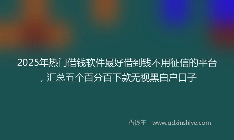 2025年热门借钱软件最好借到钱不用征信的平台，汇总五个百分百下款无视黑白户口子