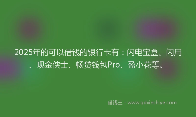 2025年的可以借钱的银行卡有：闪电宝盒、闪用、现金侠士、畅贷钱包Pro、盈小花等。