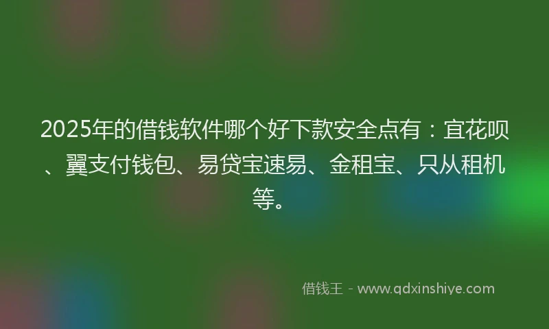 2025年的借钱软件哪个好下款安全点有：宜花呗、翼支付钱包、易贷宝速易、金租宝、只从租机等。