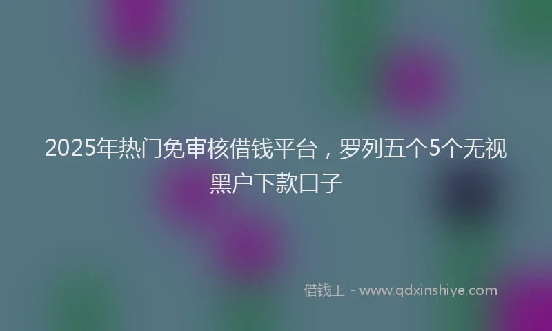 2025年热门免审核借钱平台，罗列五个5个无视黑户下款口子