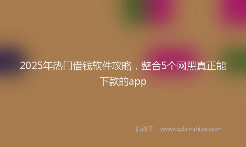 2025年热门借钱软件攻略，整合5个网黑真正能下款的app