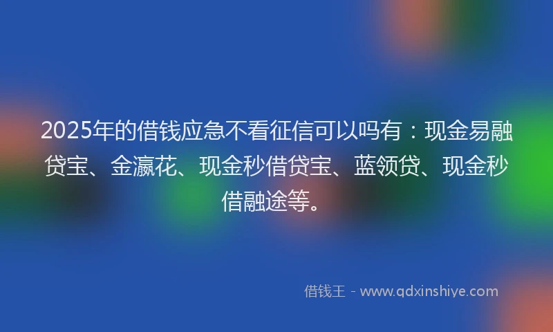 2025年的借钱应急不看征信可以吗有：现金易融贷宝、金瀛花、现金秒借贷宝、蓝领贷、现金秒借融途等。