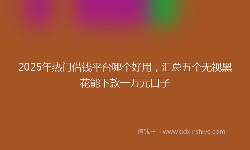 2025年热门借钱平台哪个好用，汇总五个无视黑花能下款一万元口子