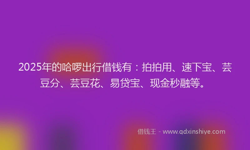 2025年的哈啰出行借钱有：拍拍用、速下宝、芸豆分、芸豆花、易贷宝、现金秒融等。