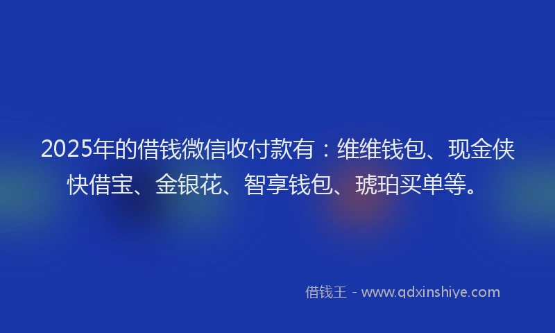 2025年的借钱微信收付款有：维维钱包、现金侠快借宝、金银花、智享钱包、琥珀买单等。