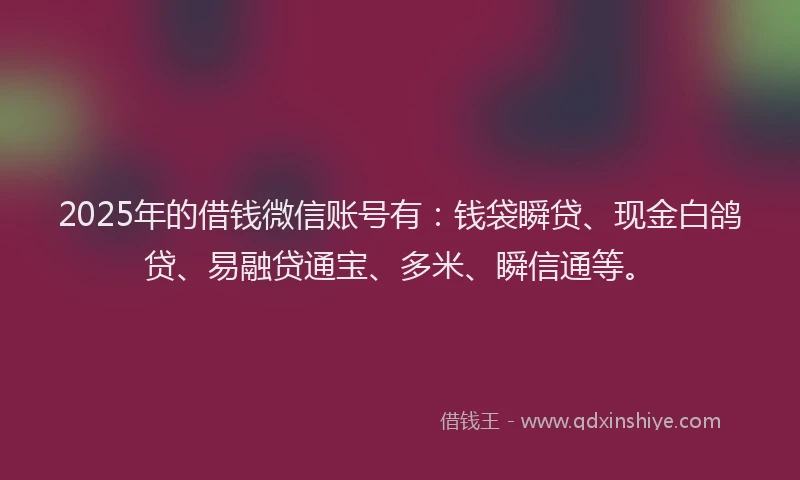 2025年的借钱微信账号有：钱袋瞬贷、现金白鸽贷、易融贷通宝、多米、瞬信通等。