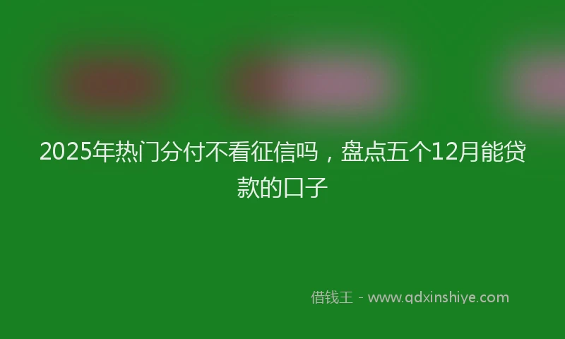 2025年热门分付不看征信吗，盘点五个12月能贷款的口子
