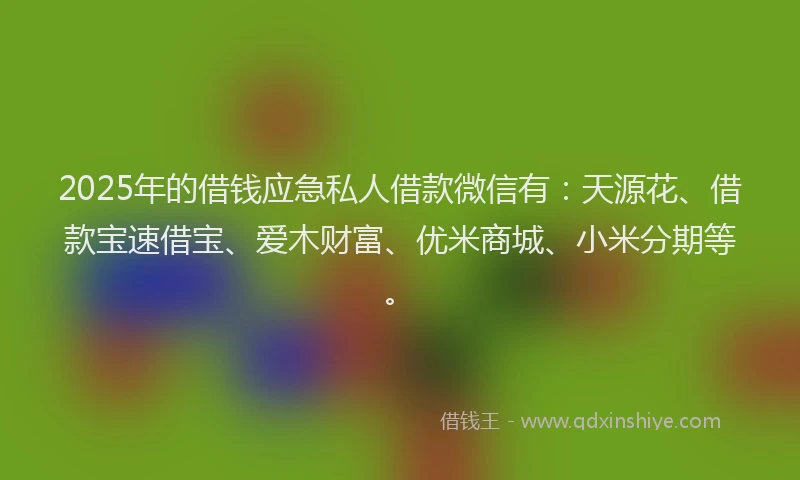 2025年的借钱应急私人借款微信有：天源花、借款宝速借宝、爱木财富、优米商城、小米分期等。