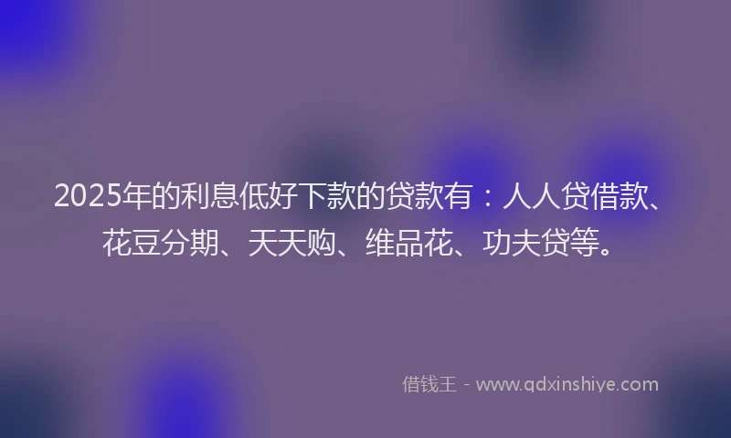 2025年的利息低好下款的贷款有：人人贷借款、花豆分期、天天购、维品花、功夫贷等。