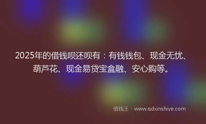 2025年的借钱呗还呗有：有钱钱包、现金无忧、葫芦花、现金易贷宝盒融、安心购等。