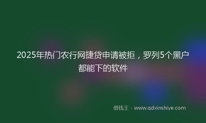 2025年热门农行网捷贷申请被拒，罗列5个黑户都能下的软件