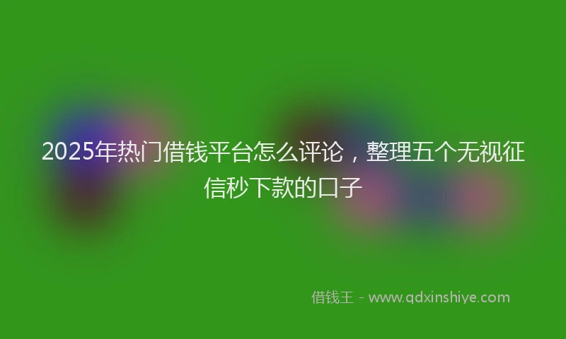 2025年热门借钱平台怎么评论，整理五个无视征信秒下款的口子
