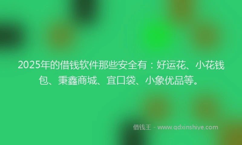 2025年的借钱软件那些安全有：好运花、小花钱包、秉鑫商城、宜口袋、小象优品等。