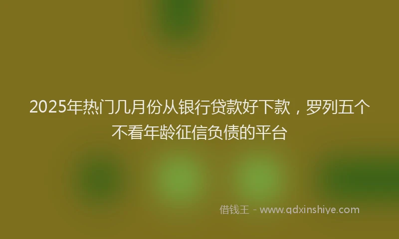 2025年热门几月份从银行贷款好下款，罗列五个不看年龄征信负债的平台