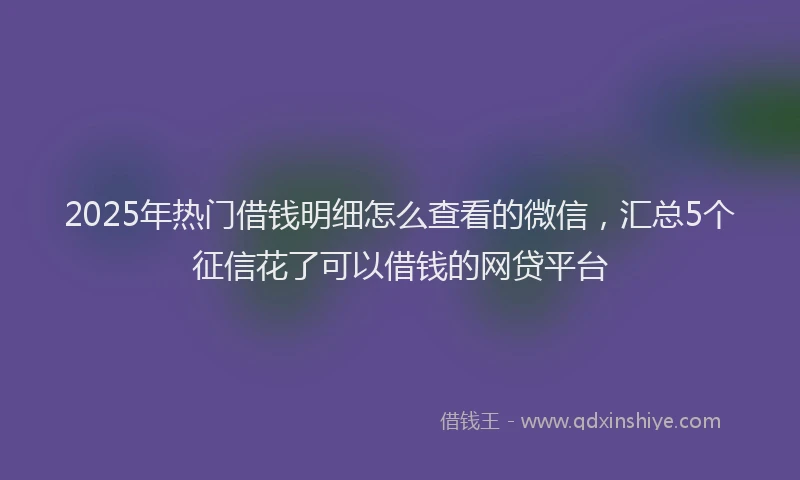 2025年热门借钱明细怎么查看的微信，汇总5个征信花了可以借钱的网贷平台