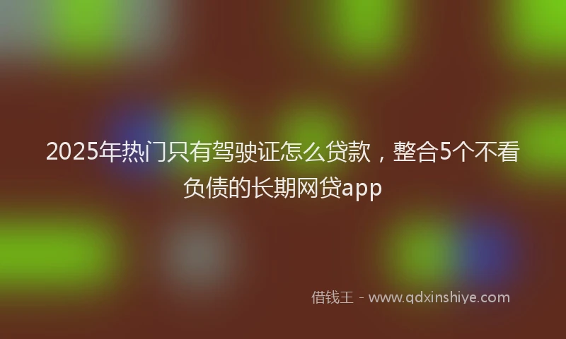 2025年热门只有驾驶证怎么贷款，整合5个不看负债的长期网贷app
