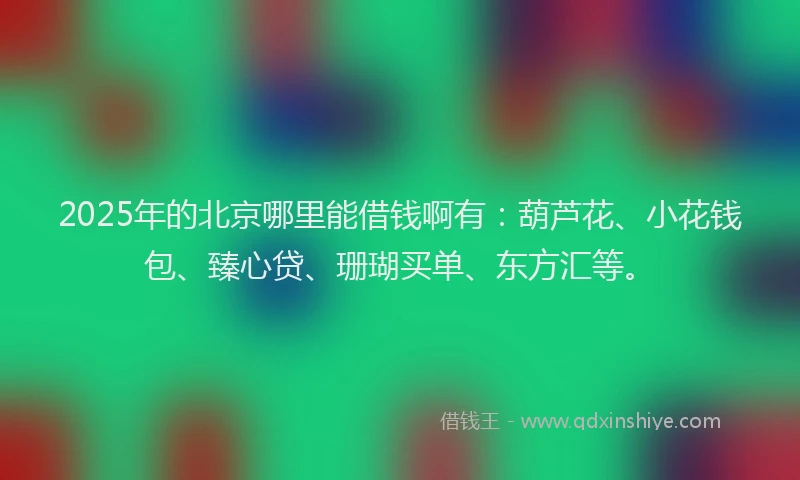 2025年的北京哪里能借钱啊有：葫芦花、小花钱包、臻心贷、珊瑚买单、东方汇等。
