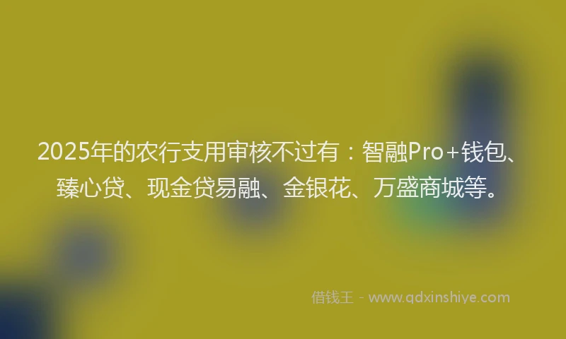 2025年的农行支用审核不过有：智融Pro+钱包、臻心贷、现金贷易融、金银花、万盛商城等。
