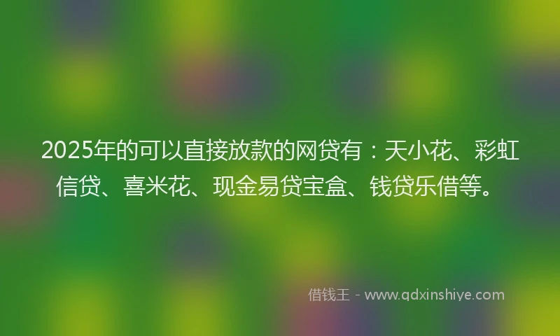2025年的可以直接放款的网贷有：天小花、彩虹信贷、喜米花、现金易贷宝盒、钱贷乐借等。