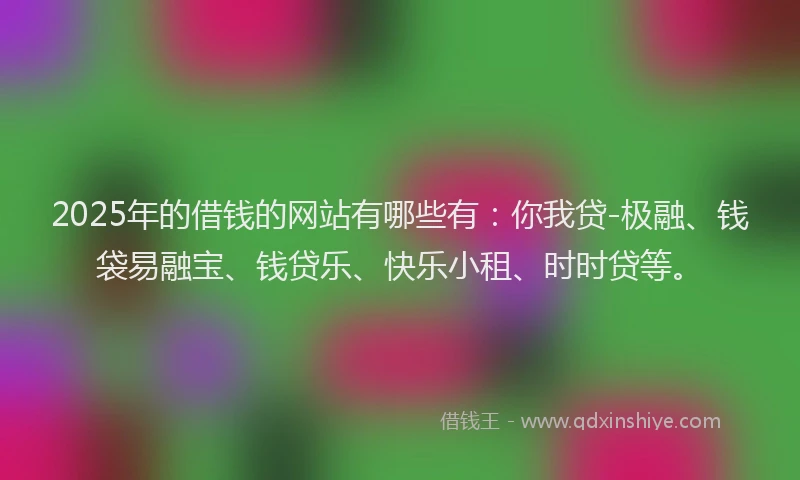 2025年的借钱的网站有哪些有：你我贷-极融、钱袋易融宝、钱贷乐、快乐小租、时时贷等。