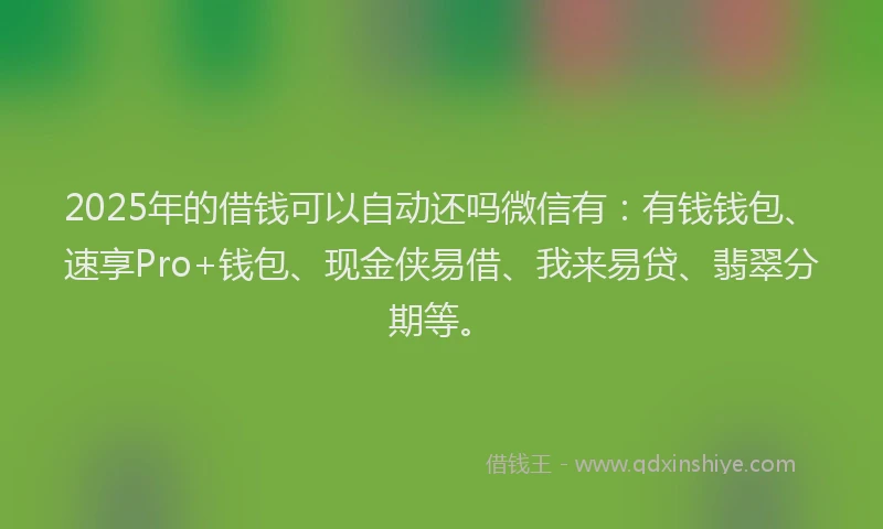 2025年的借钱可以自动还吗微信有：有钱钱包、速享Pro+钱包、现金侠易借、我来易贷、翡翠分期等。