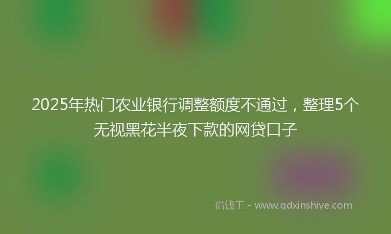 2025年热门农业银行调整额度不通过，整理5个无视黑花半夜下款的网贷口子